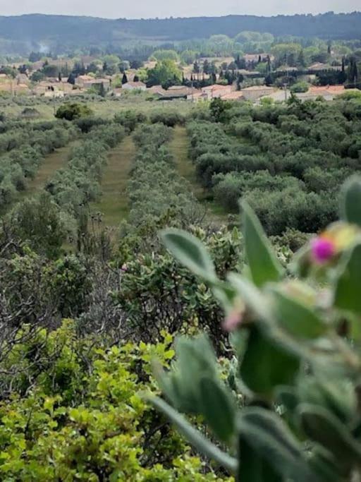 La Pitchoune : Gite Aux Pieds Des Alpilles Mouries Ngoại thất bức ảnh